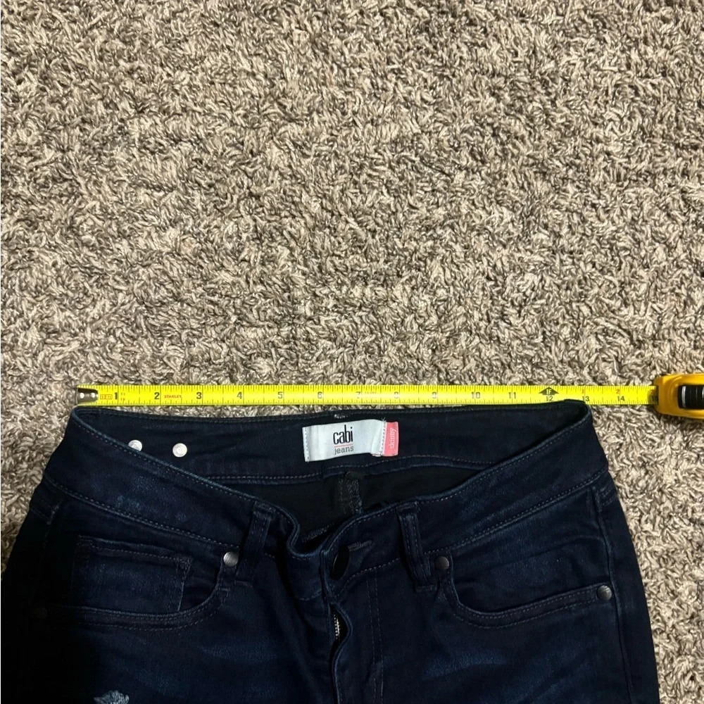 CAbi chic dark